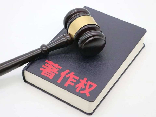 软件著作权侵权调查